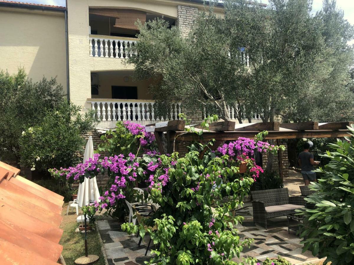 Guesthouse Vila Ruzmarin Ždrelac المظهر الخارجي الصورة